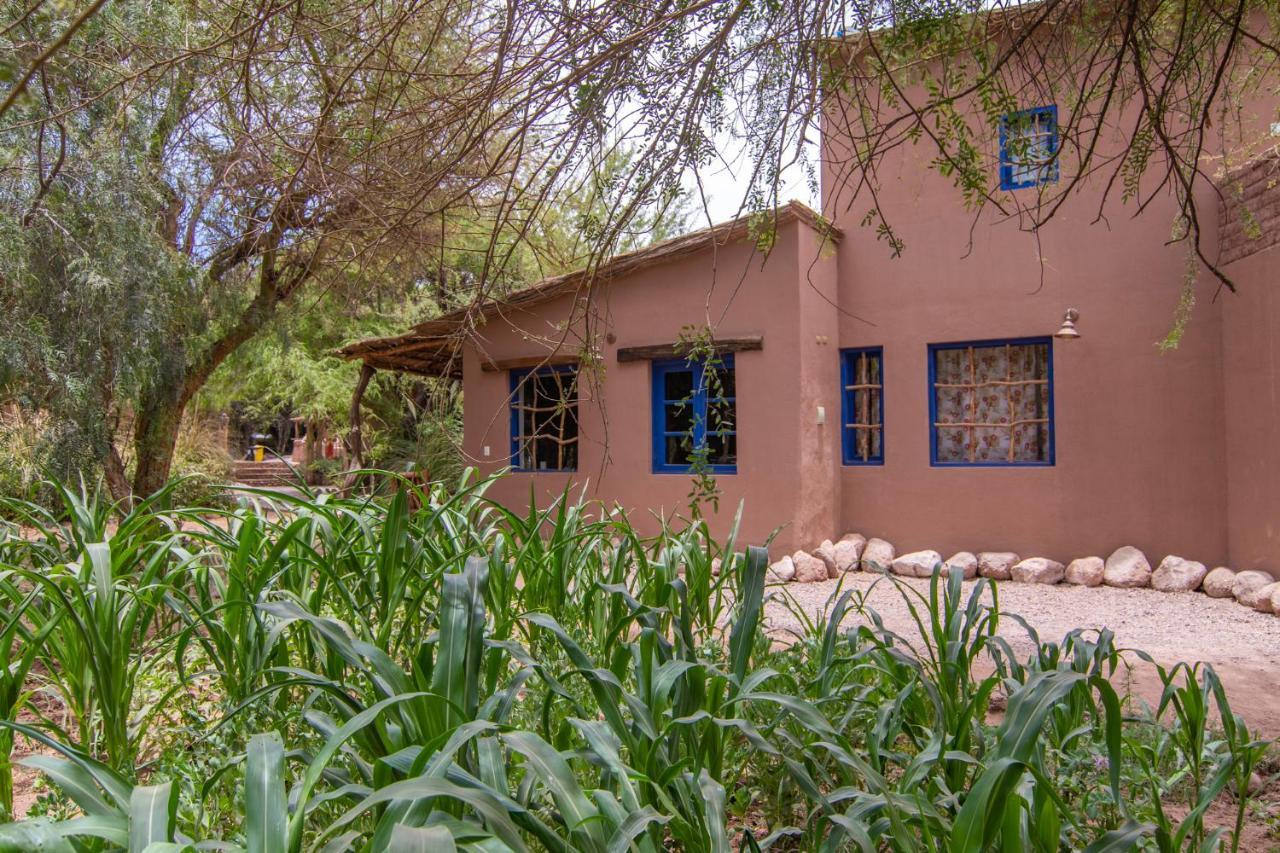 Lodge Ckoi Atacama